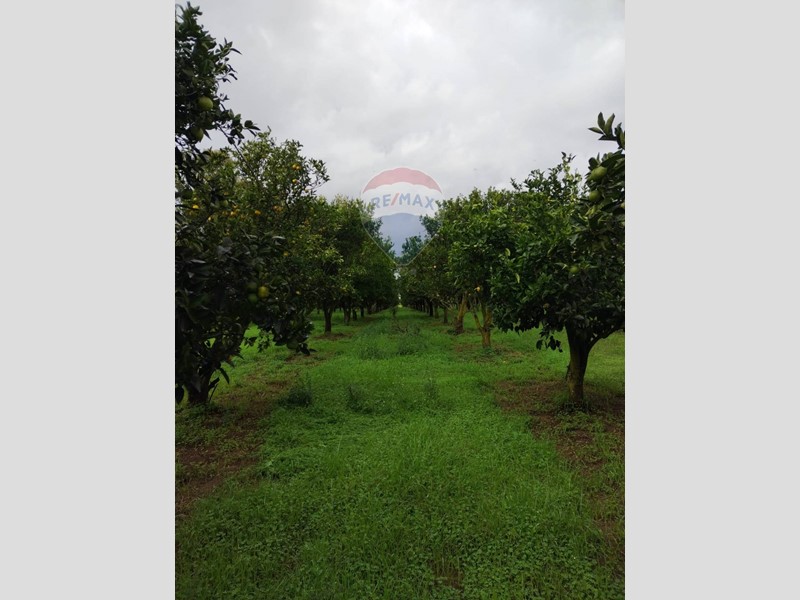 Terreno agricolo in Vendita a Caltagirone, 110'000&euro;, 74000 m²