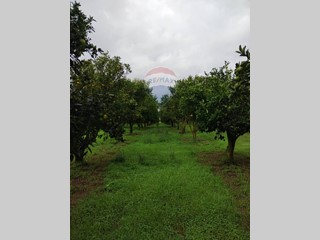 Terreno agricolo in Vendita a Caltagirone, 110'000&euro;, 74000 m²