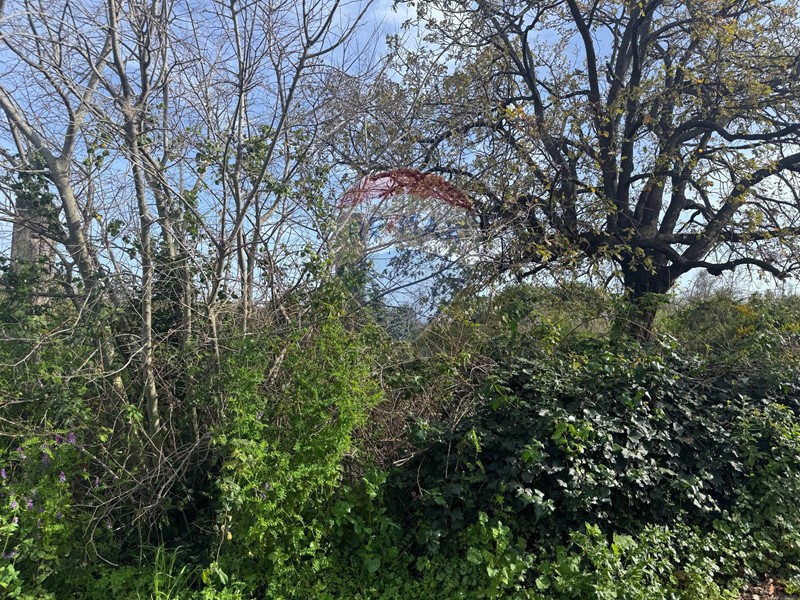 Terreno agricolo in Vendita a San Giovanni la Punta, 13'000€, 790 m²