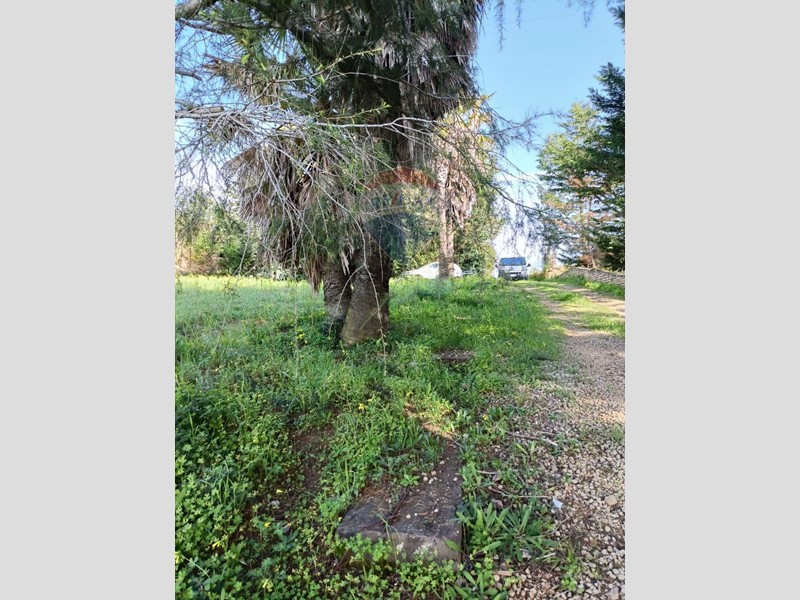 Terreno edificabile in Vendita a Caltagirone, 35'000€, 1890 m²