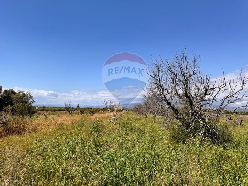 Terreno agricolo in Vendita a Belpasso, 20'000&euro;, 7289 m²