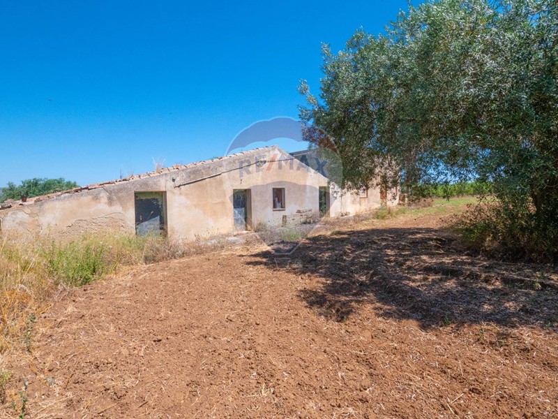 Terreno agricolo in Vendita a Caltagirone, 32'900€, 7239 m²