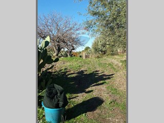 Terreno agricolo in Vendita a Ragalna, 45'000&euro;, 3500 m²