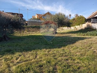 Terreno edificabile in Vendita a Mirabella Imbaccari, 27'000&euro;, 981 m²