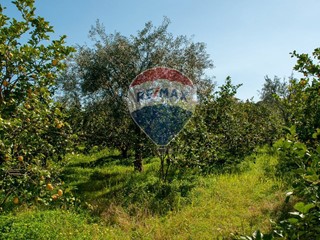 Terreno agricolo in Vendita a Zafferana Etnea, 48'000&euro;, 2915 m²