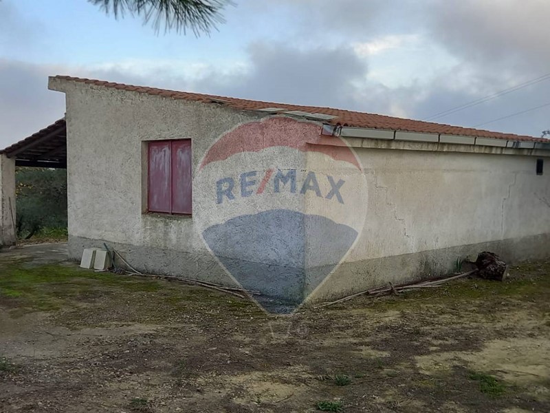 Terreno agricolo in Vendita a San Michele di Ganzaria, 25'000€, 5000 m²
