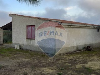 Terreno agricolo in Vendita a San Michele di Ganzaria, 25'000€, 5000 m²