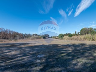 Terreno agricolo in Vendita a Catania, 138'000€, 13645 m²