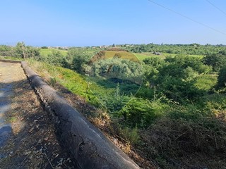 Terreno agricolo in Vendita a Santa Venerina, 99'000€, 16657 m²