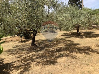 Casa Indipendente in Vendita a Caltagirone, 85'000€, 100 m²