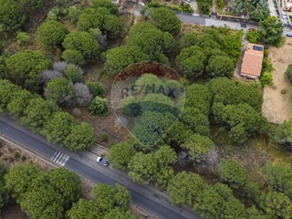 Terreno edificabile in Vendita a Nicolosi, 118'000€, 2613 m²