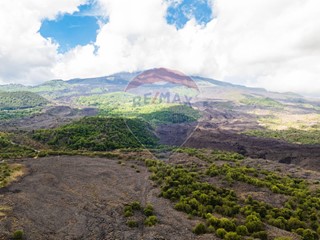 Terreno agricolo in Vendita a Nicolosi, 25'000€, 1300 m²
