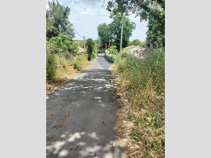 Terreno agricolo in Vendita a Viagrande, 32'000&euro;, 2000 m²