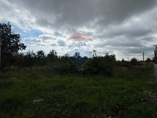 Terreno agricolo in Vendita a Mascalucia, 18'000€, 1200 m²