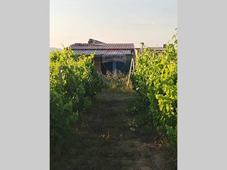 Villa in Vendita a Mineo, 25'000€, 70 m²