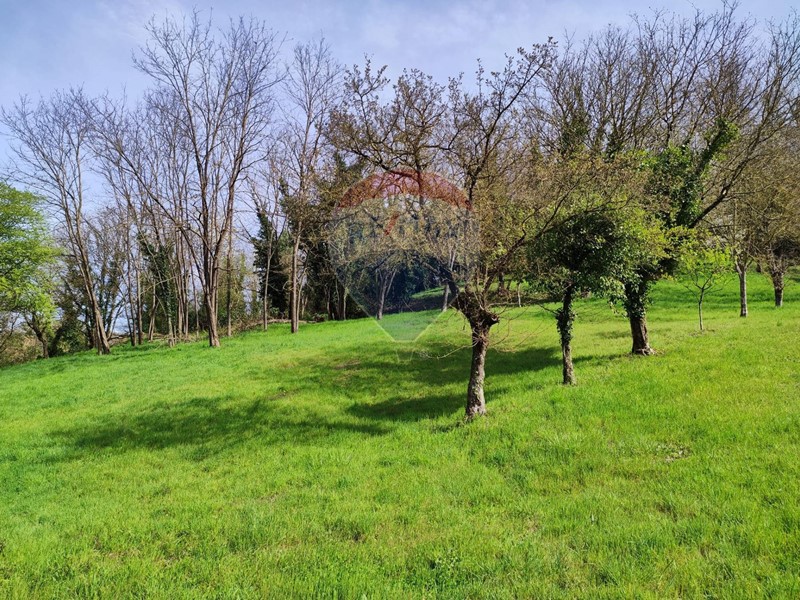 Terreno agricolo in Vendita a Figline e Incisa Valdarno, 22'000€, 4520 m²