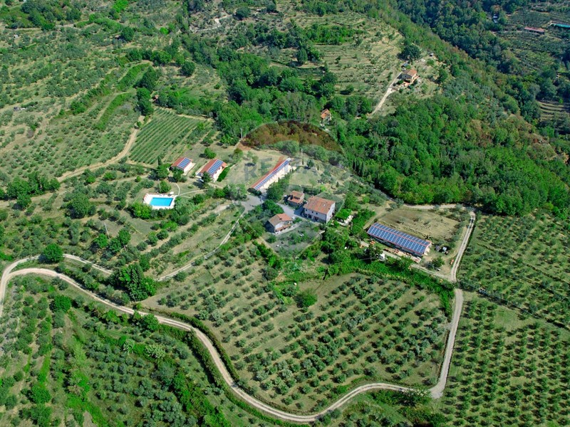 Attività commerciale in Vendita a Castelfranco Piandiscò, 890'000€, 1119 m²