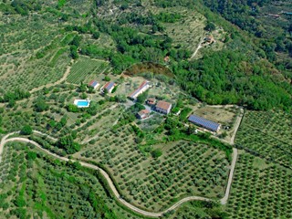 Attività commerciale in Vendita a Castelfranco Piandiscò, 890'000€, 1119 m²