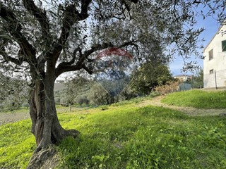 Casa Semi Indipendente in Vendita a Belvedere Ostrense, 29'000€, 104 m²