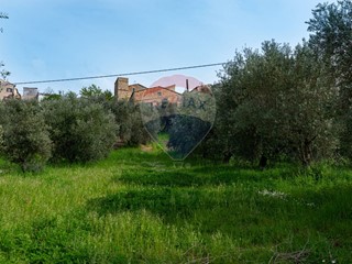 Terreno agricolo in Vendita a Cupramontana, 60'000€, 4200 m²