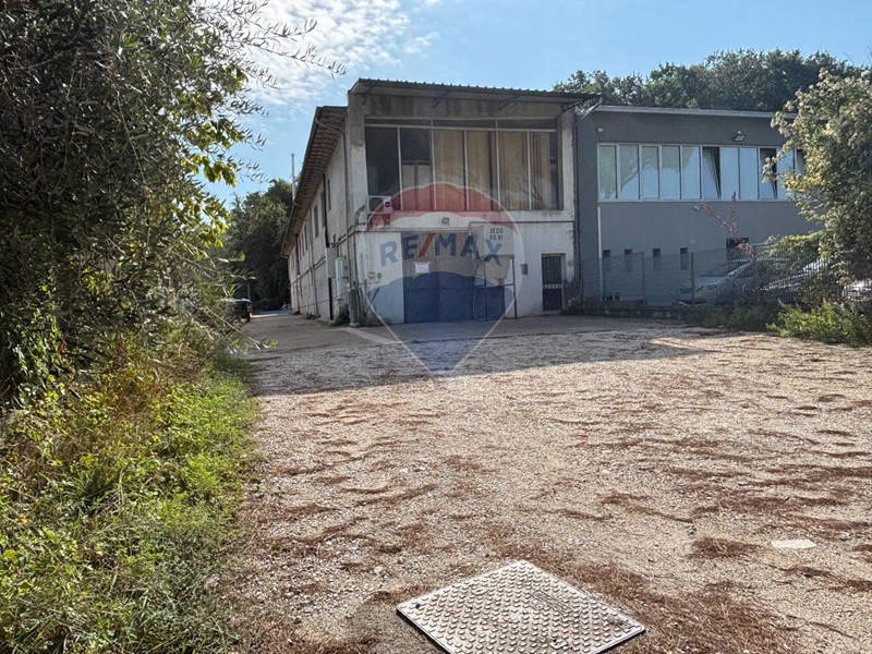 Laboratorio in Vendita a Vinci, 195'000€, 770 m²