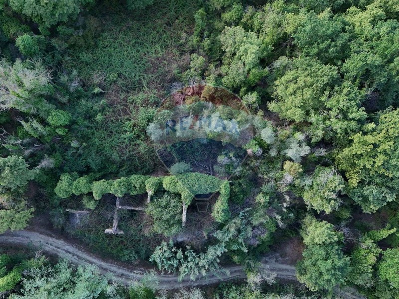 Rustico in Vendita a Castelfiorentino, 295'000€, 600 m²