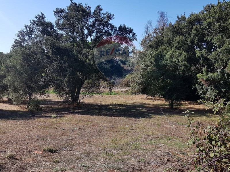 Terreno agricolo in Vendita a Aprilia, 15'000€, 1590 m²
