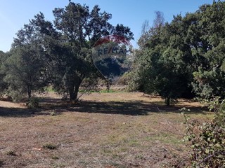 Terreno agricolo in Vendita a Aprilia, 15'000€, 1590 m²