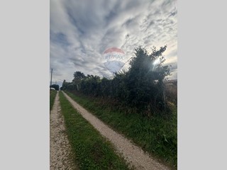 Terreno edificabile in Vendita a Anzio, 59'000€, 1000 m²