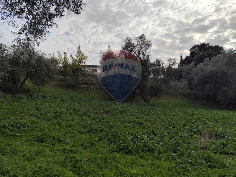 Terreno agricolo in Vendita a Aprilia, 13'000€, 1260 m²
