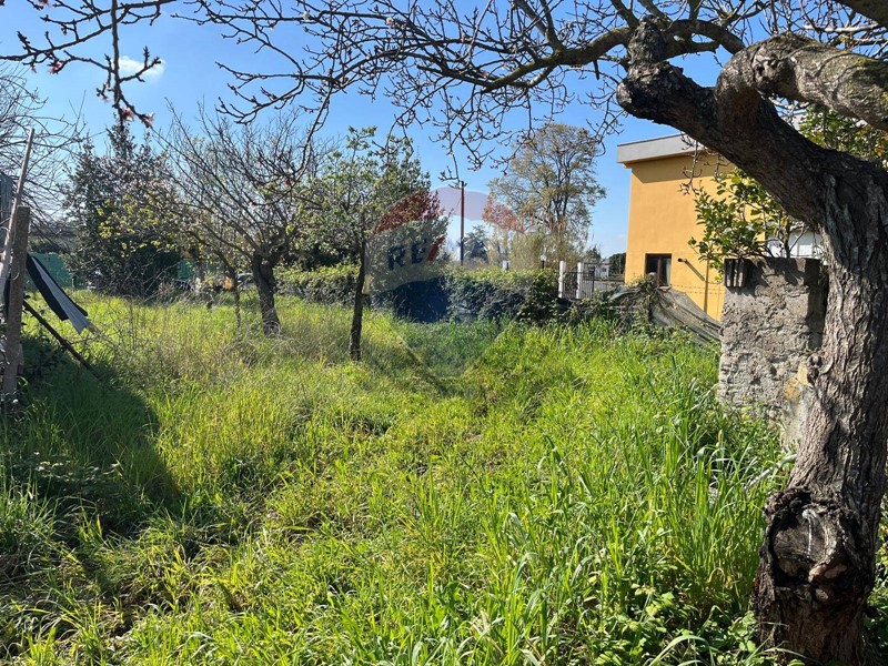 Terreno agricolo in Vendita a Ardea, 80'000€, 4500 m²