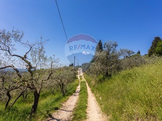 Terreno agricolo in Vendita a Bagno a Ripoli, 147'000€, 20000 m²