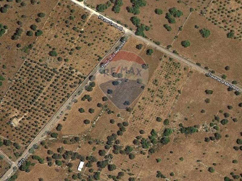Terreno agricolo in Vendita a Noto, 15'000€, 4200 m²