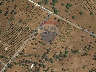 Terreno agricolo in Vendita a Noto, 15'000€, 4200 m²