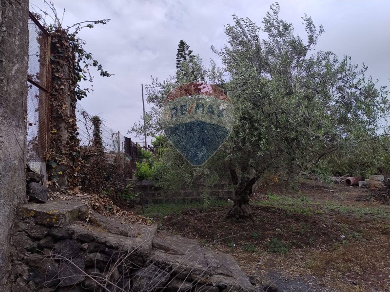 Terreno agricolo in Vendita a Catania, 68'000€, 3100 m²
