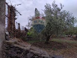 Terreno agricolo in Vendita a Catania, 68'000€, 3100 m²