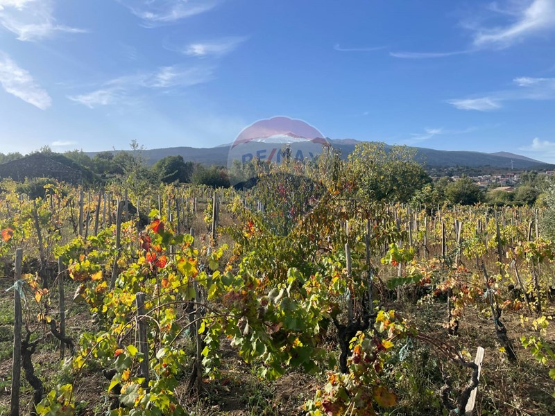 Terreno agricolo in Vendita a Castiglione di Sicilia, 30'000€, 790 m²