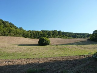 Terreno agricolo in Vendita a Ripatransone, 430'000€, 170000 m²