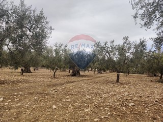 Terreno agricolo in Vendita a Monte Sant'Angelo, 66'999&euro;, 12117 m²