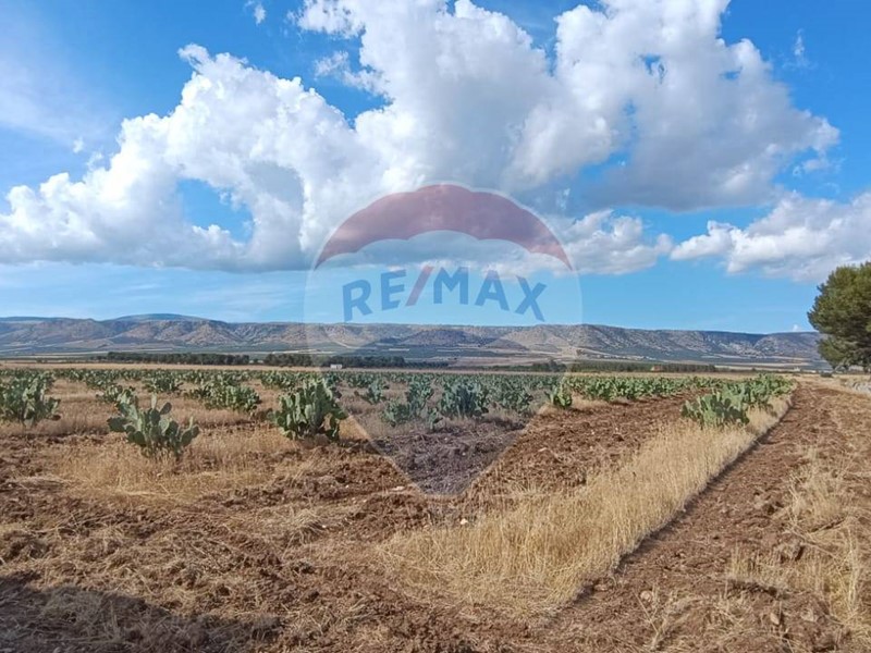 Terreno agricolo in Vendita a San Giovanni Rotondo, 235'000€, 200860 m²