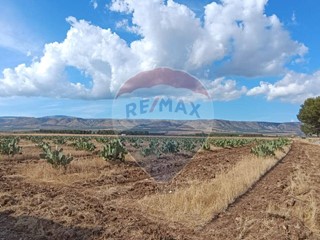Terreno agricolo in Vendita a San Giovanni Rotondo, 235'000€, 200860 m²