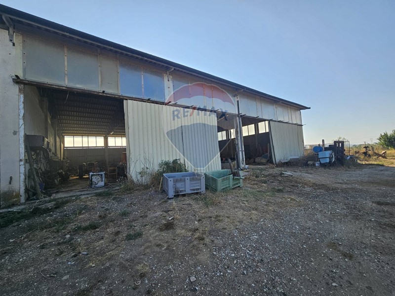 Immobile commerciale in Vendita a Suvereto, 110'000€, 400 m²