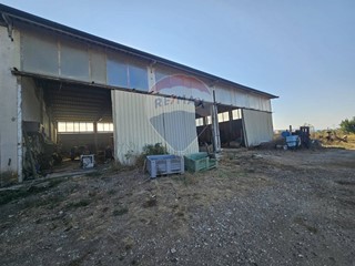 Immobile commerciale in Vendita a Suvereto, 110'000€, 400 m²