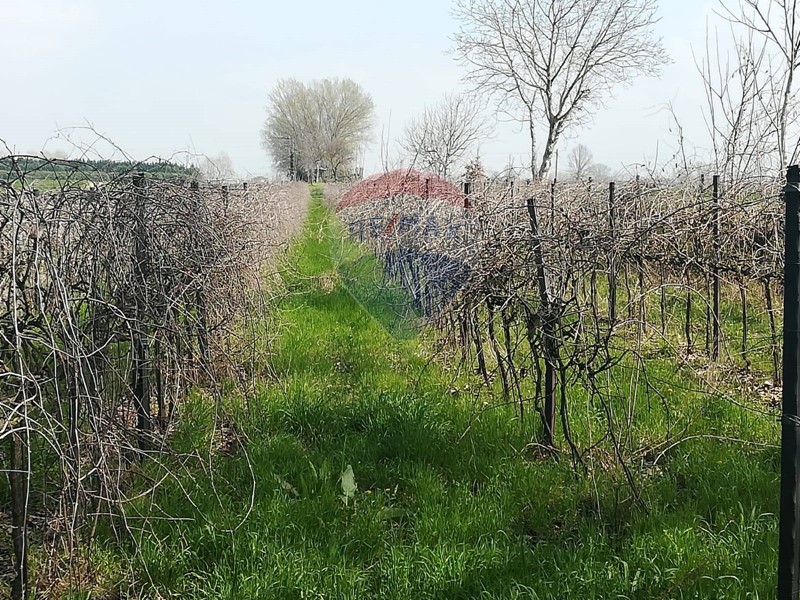 Terreno agricolo in Vendita a Rivarolo Mantovano, 15'000&euro;, 2090 m²