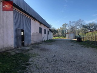 Magazzino in Vendita a Sabaudia, 110'000&euro;, 391 m²