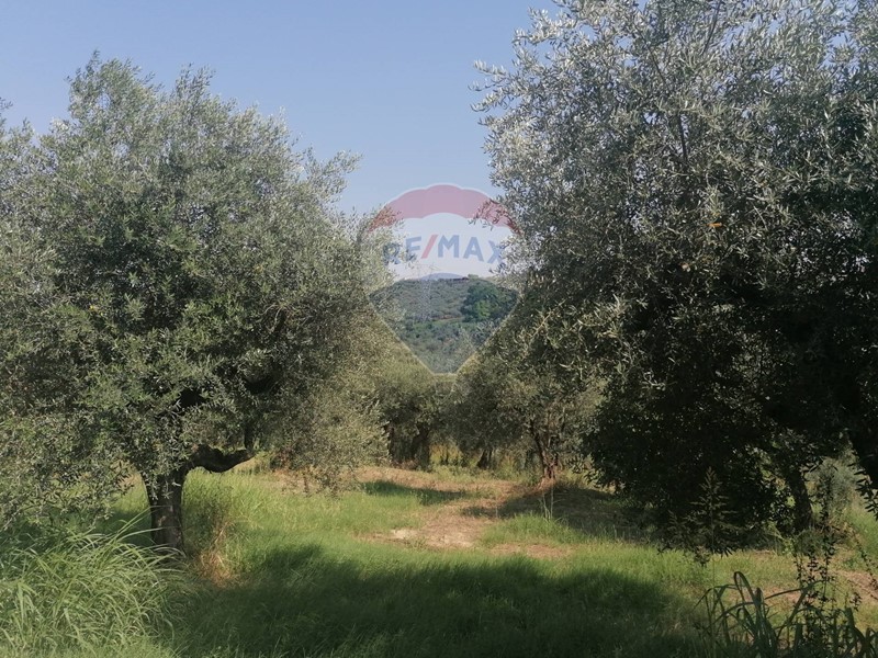 Terreno edificabile in Vendita a Moscufo, 26'000€, 2094 m²