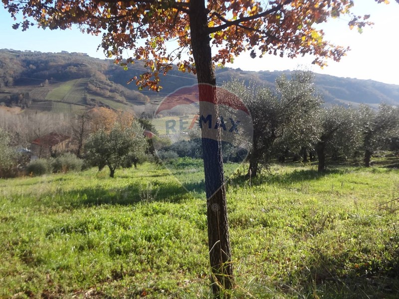 Terreno agricolo in Vendita a Miglianico, 44'000€, 4680 m²