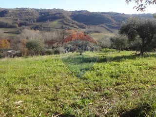 Terreno agricolo in Vendita a Miglianico, 44'000€, 4680 m²