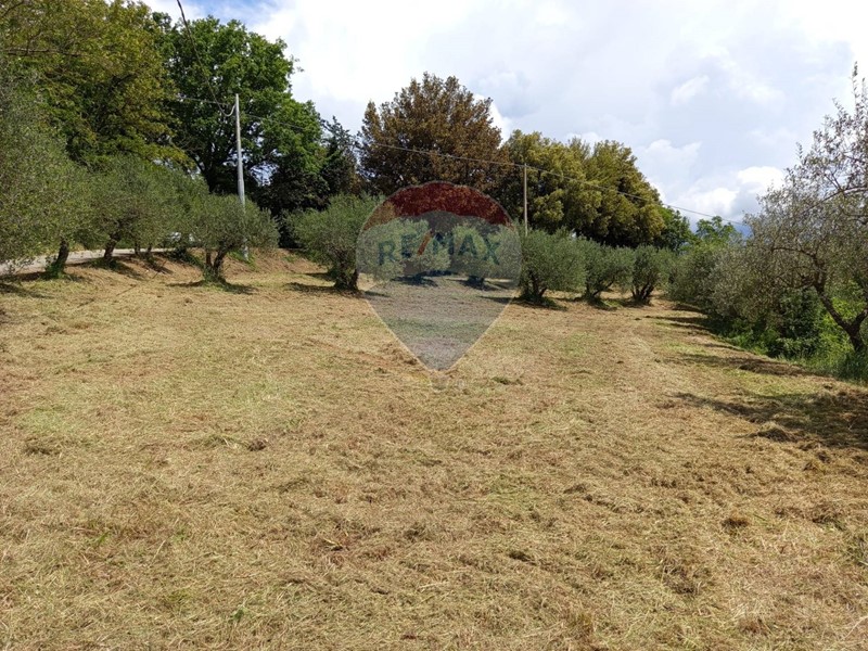 Terreno edificabile in Vendita a Citerna, 235'000€, 7290 m²