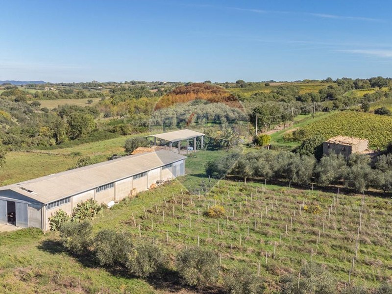 Terreno agricolo in Vendita a Pitigliano, 330'000€, 289486 m²